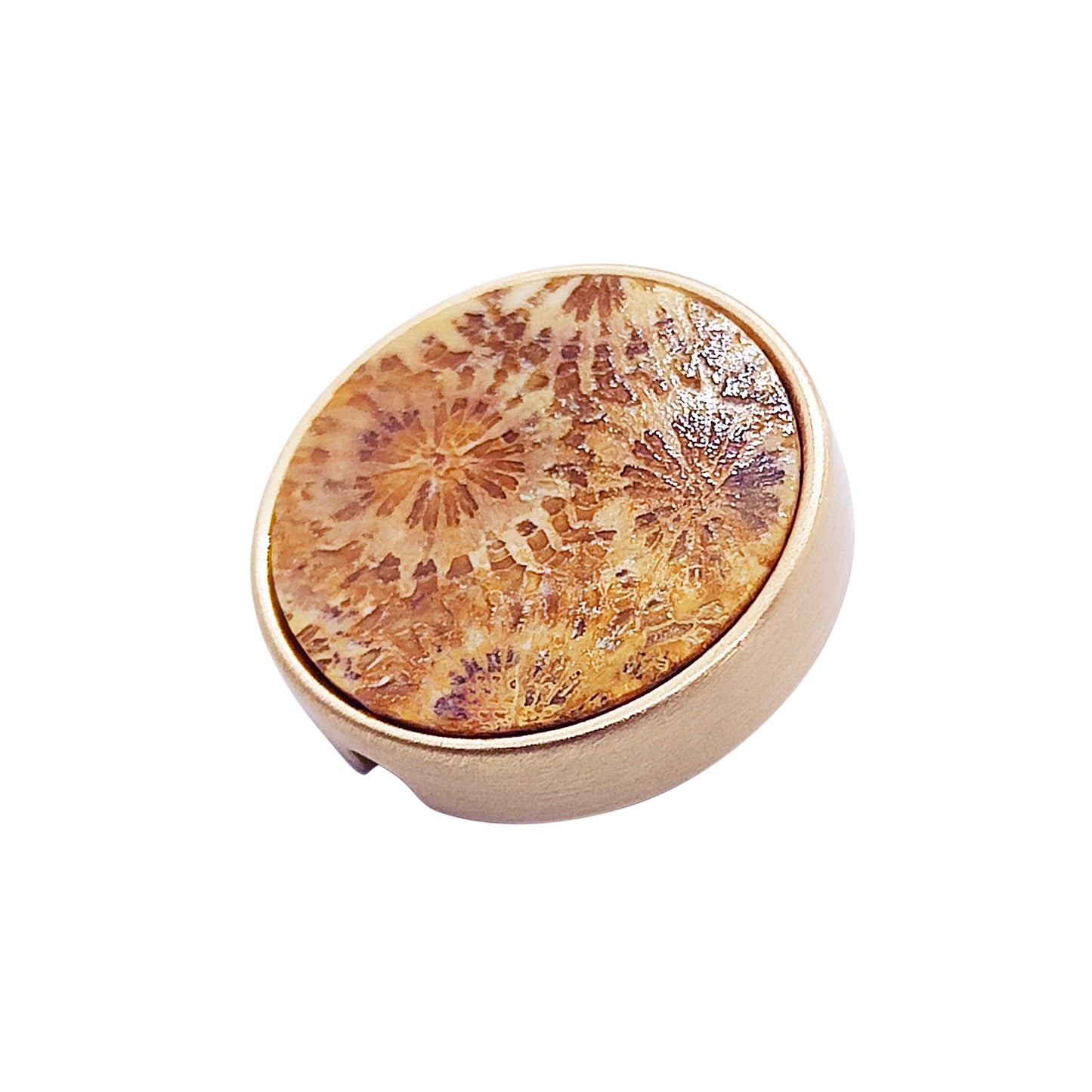 PRO 21mm button in metal and fossilized coral